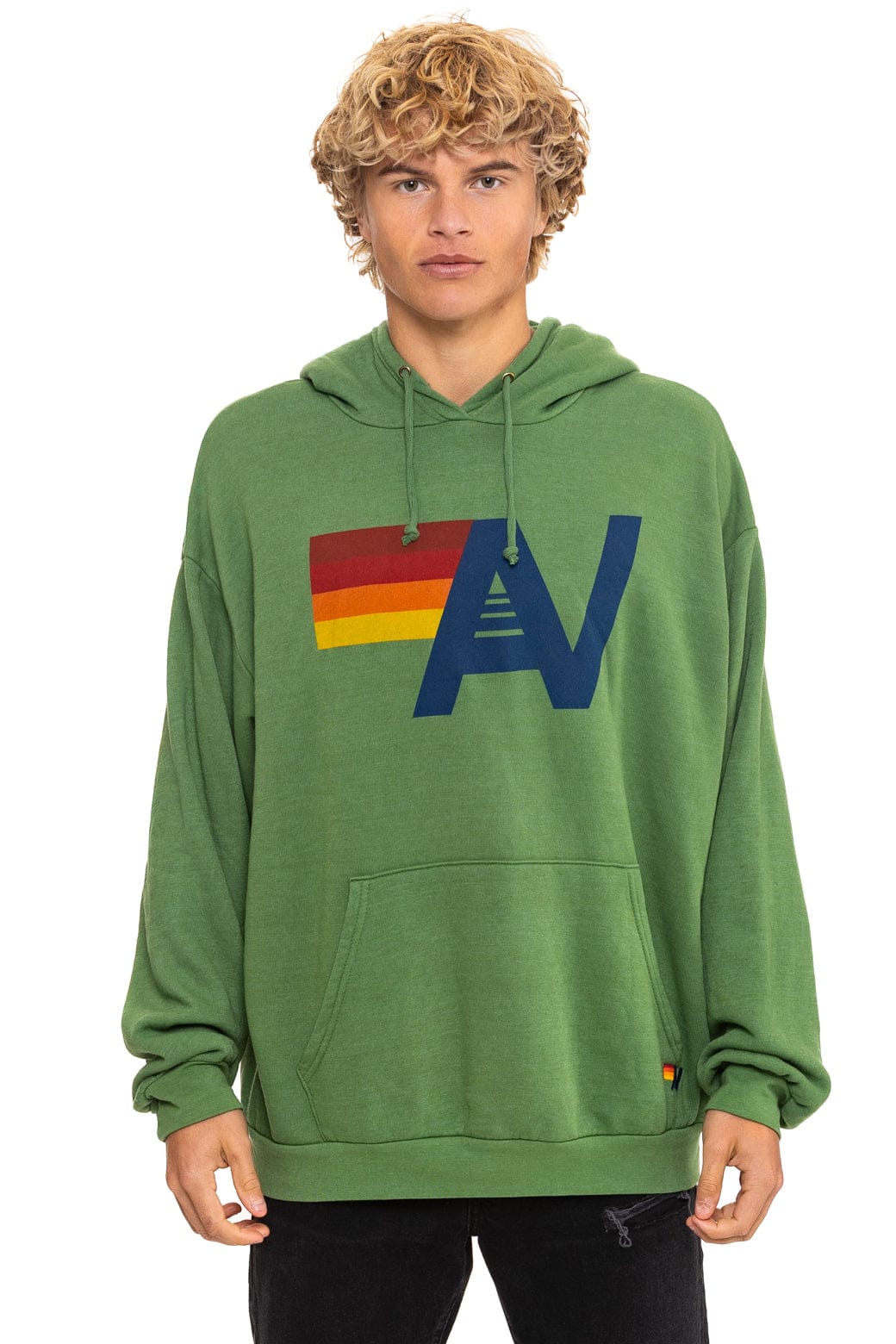 LOGO PULLOVER RELAXED HOODIE - PALM