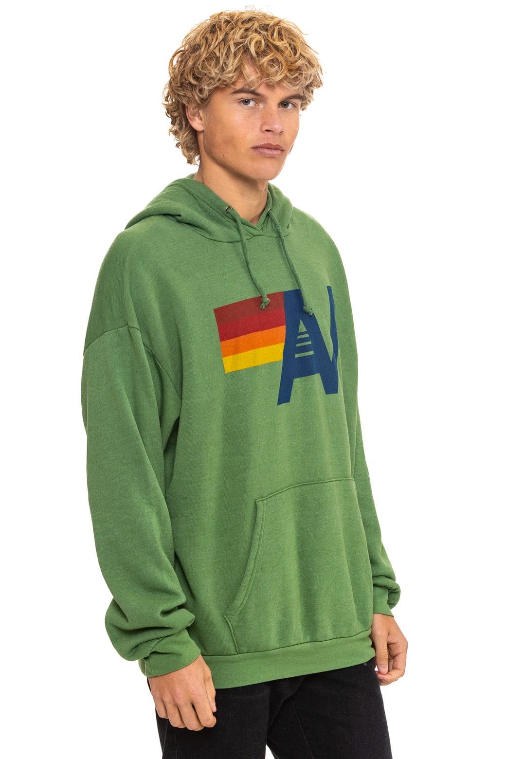 LOGO PULLOVER RELAXED HOODIE - PALM