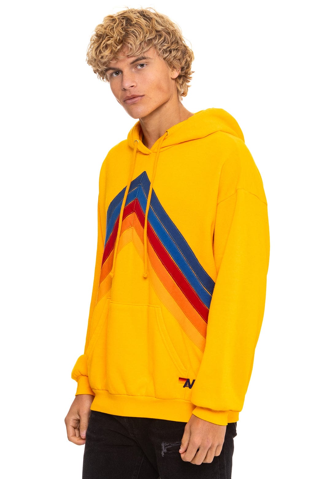 MOUNTAIN STITCH CHEVRON PULLOVER HOODIE RELAXED - GOLD